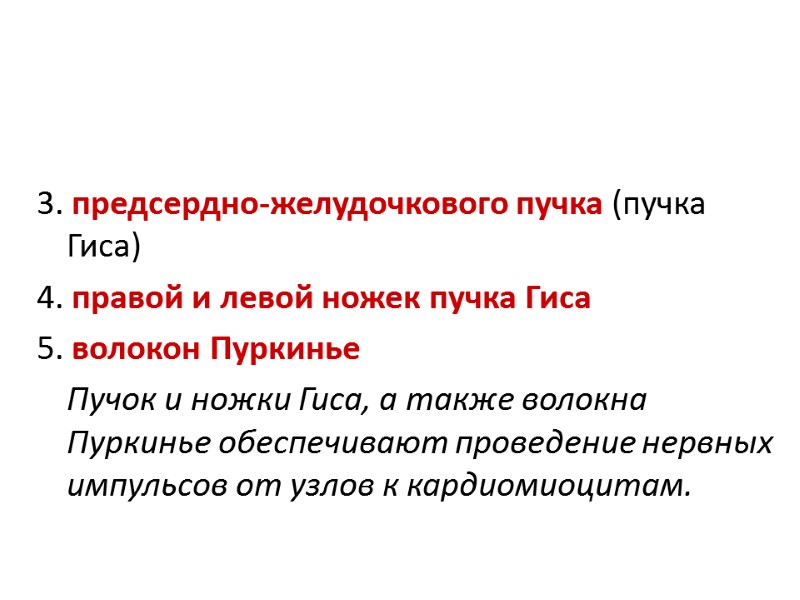 3. предсердно-желудочкового пучка (пучка Гиса) 4. правой и левой ножек пучка Гиса 5. волокон